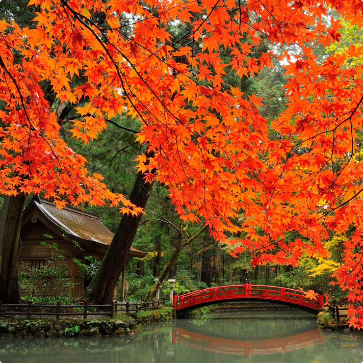 小國神社