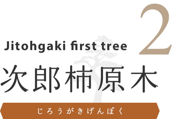 次郎柿の原木