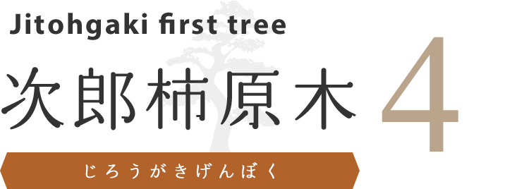 次郎柿の原木