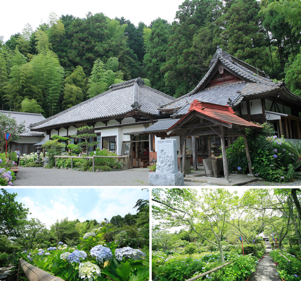 実谷山極楽寺