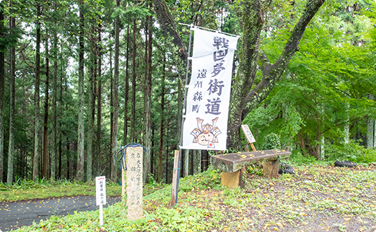 若杉家屋敷跡