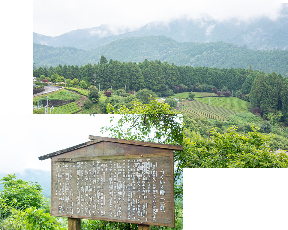 うぐいす餅由来看板