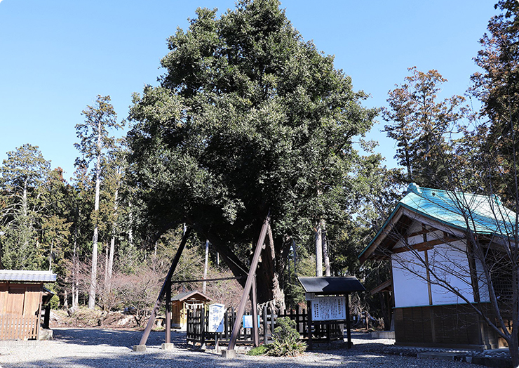 天宮神社