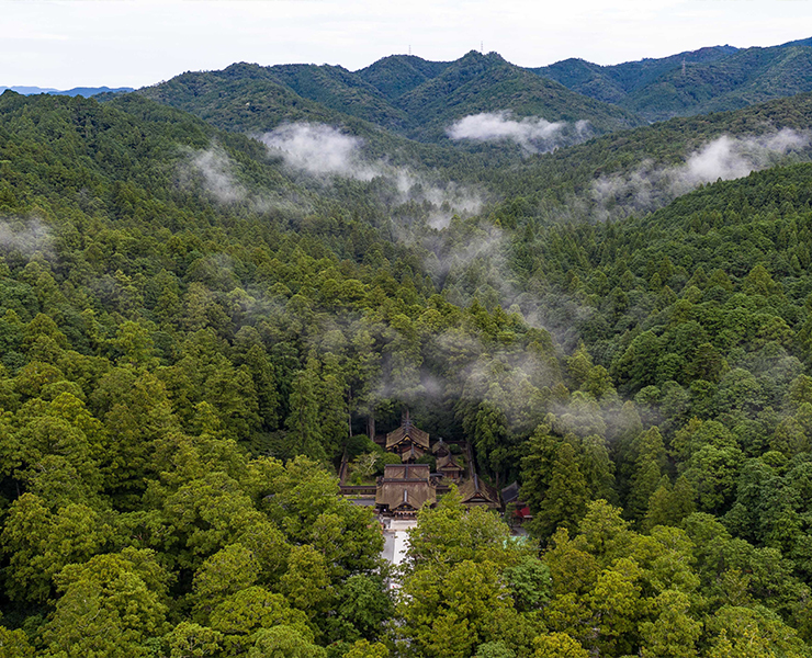 遠江国一宮 小國神社