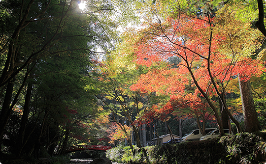 遠江国一宮 小國神社