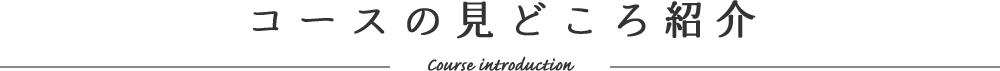 コースの見どころ紹介