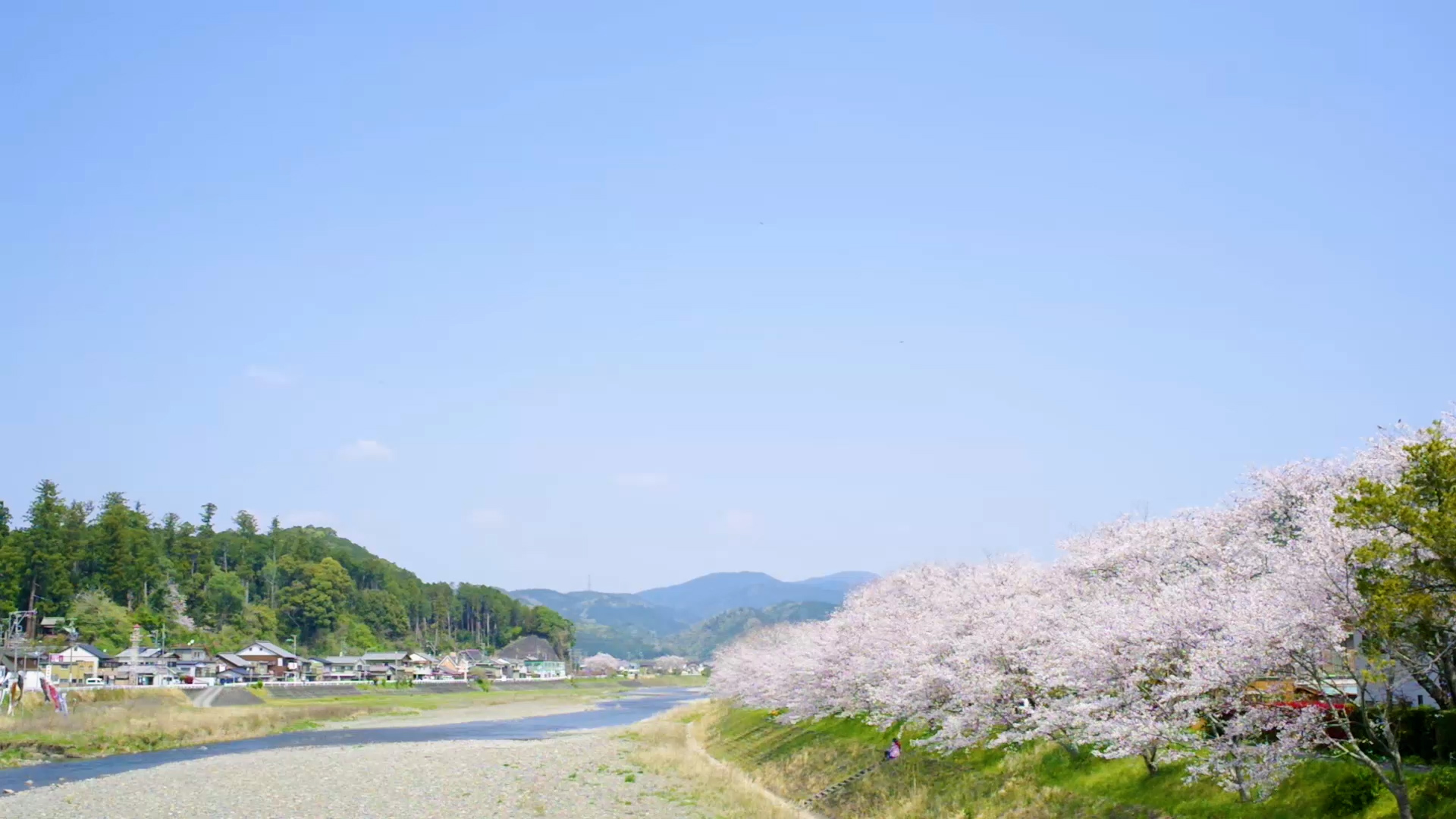 活動歴および当時の関連ビジュアル記録