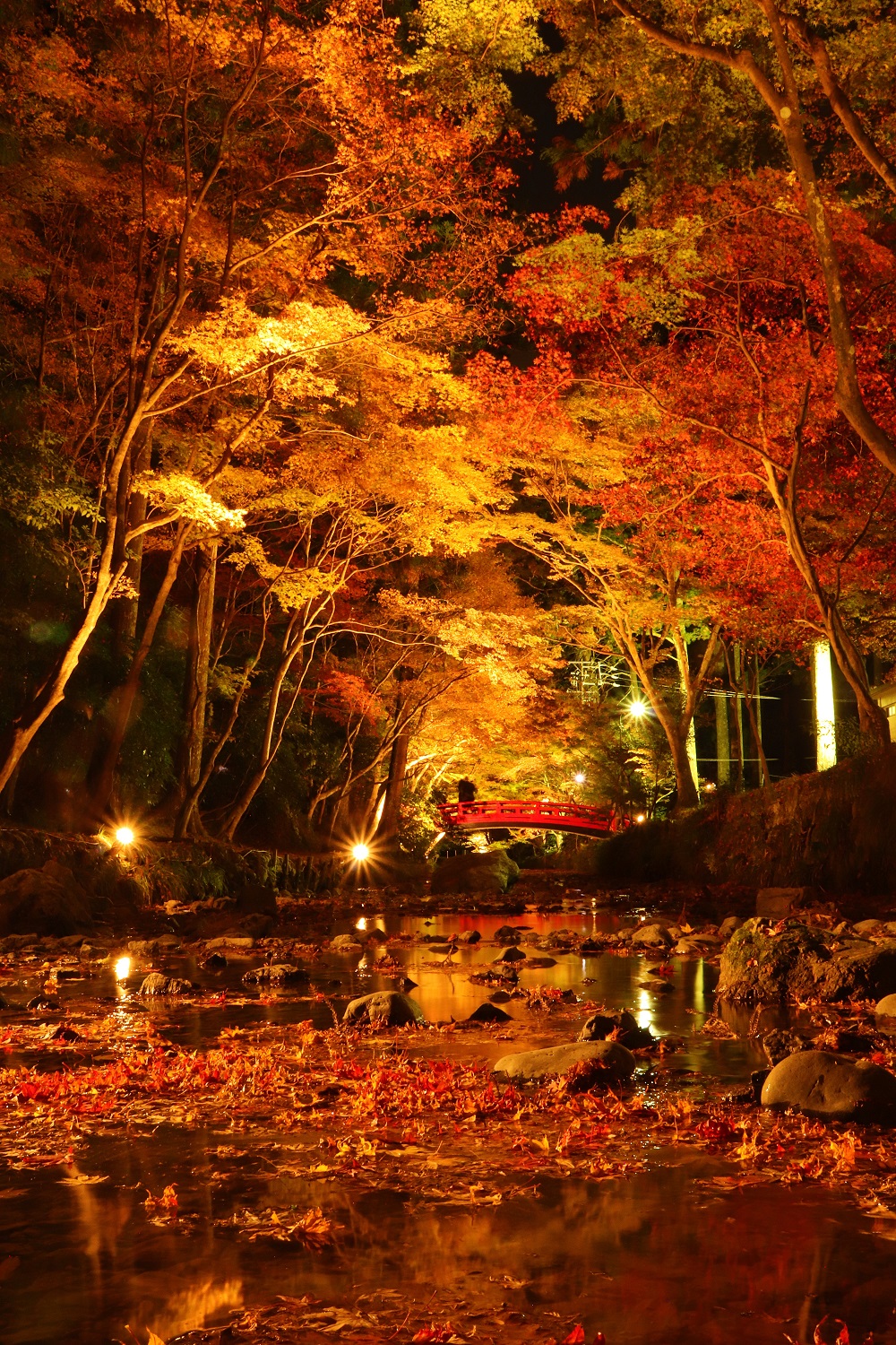 写真館 一覧 静岡県森町 観光協会 遠州の小京都 写真館 一覧 静岡県森町 観光協会 遠州の小京都