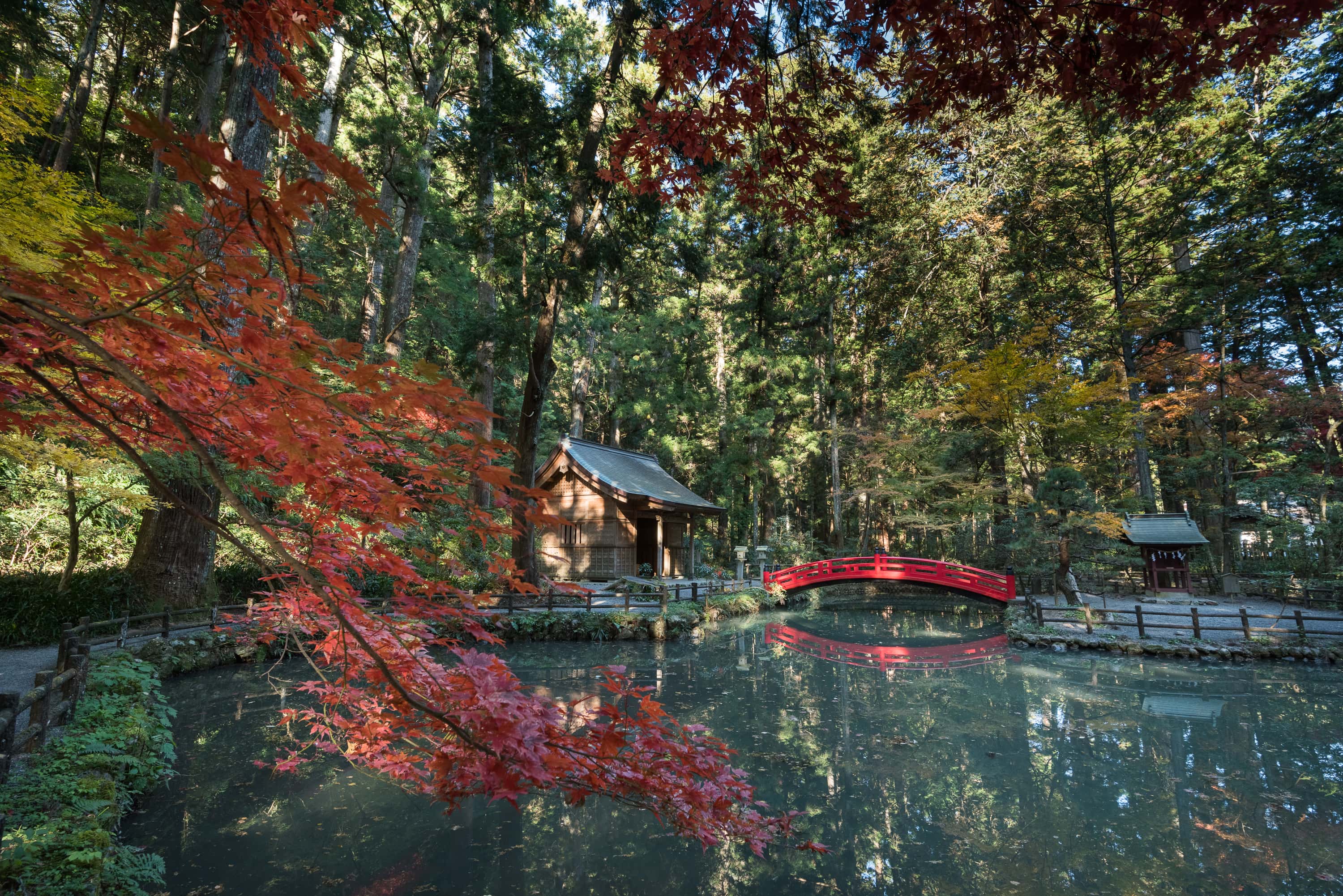 遠江國一宮　小國神社の画像5