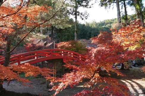 紅葉の時期は境内が燃えるような赤に染まる