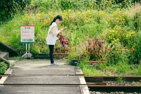 駅舎の反対側、小さな花をみつけた