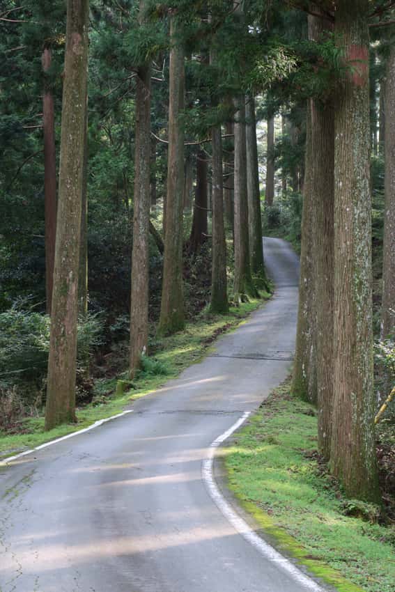 東海自然歩道の画像1