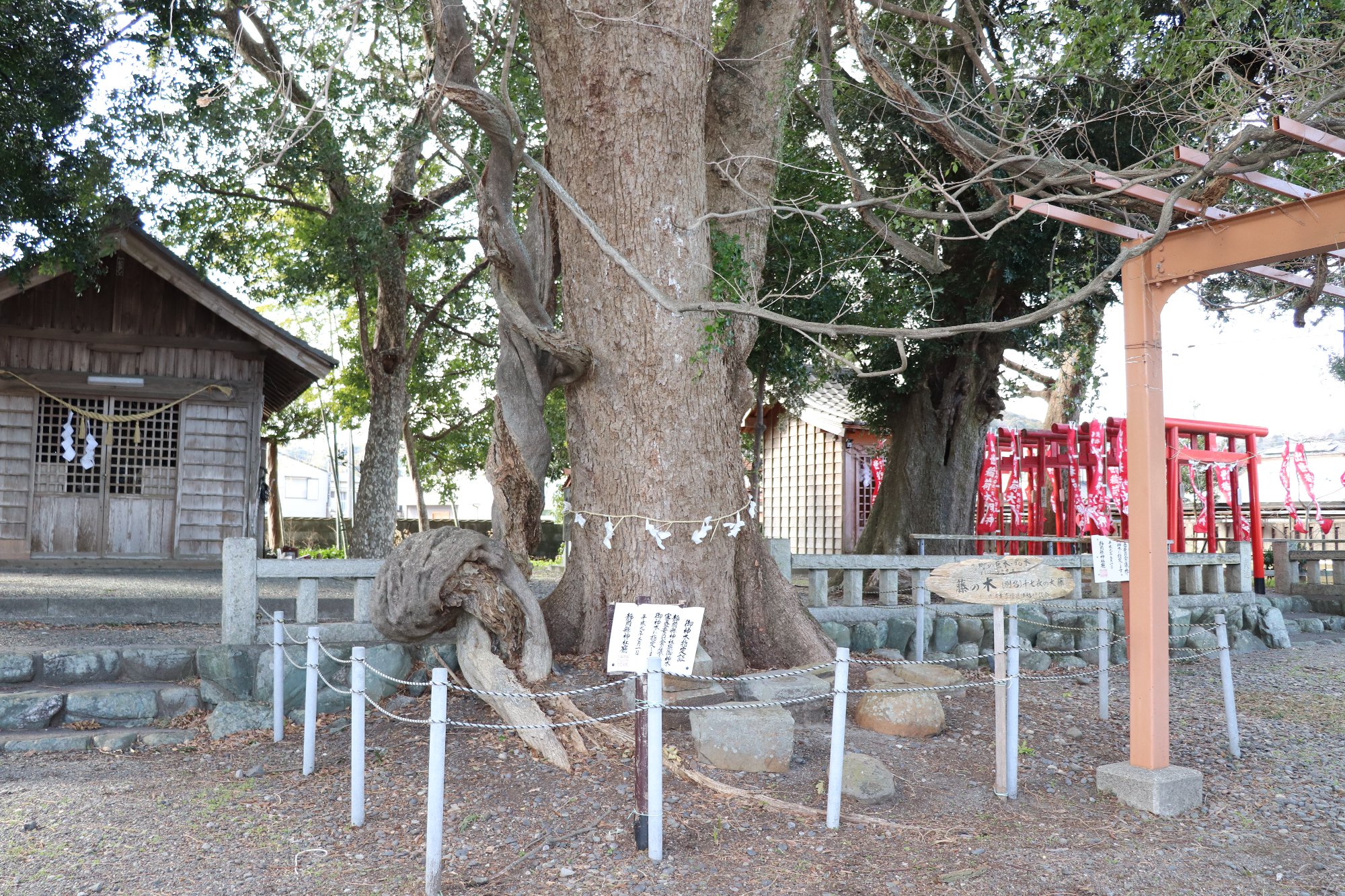 金守神社の画像5