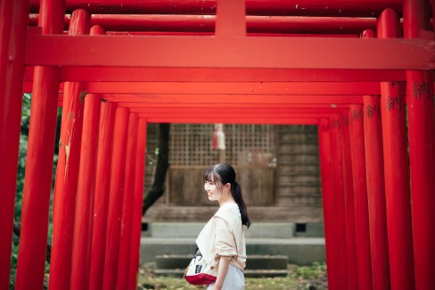 お寺の境内には、何本も立つ赤い鳥居とお社が