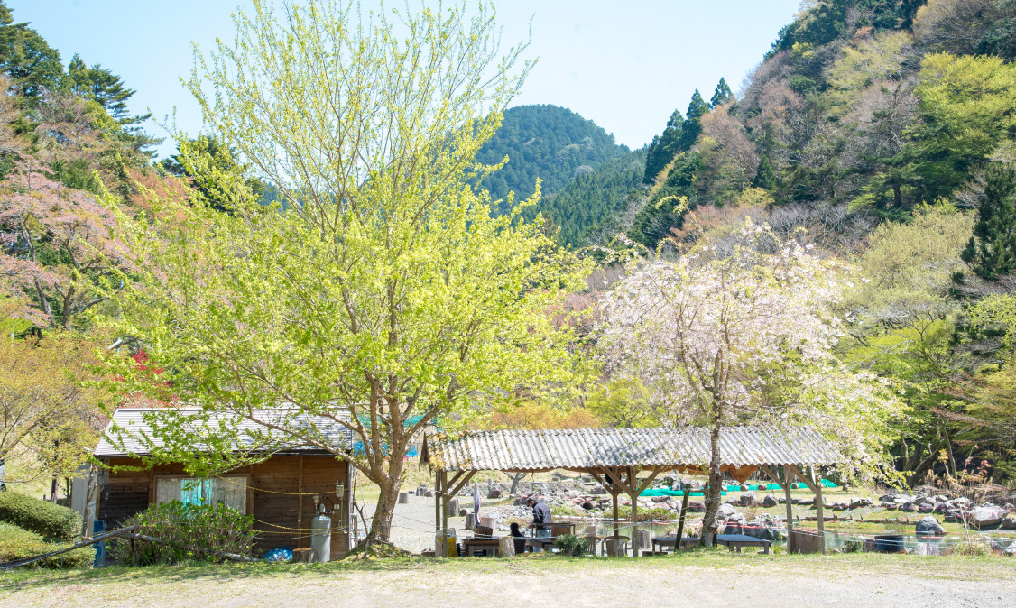 大河内清流　やまめの里の画像3