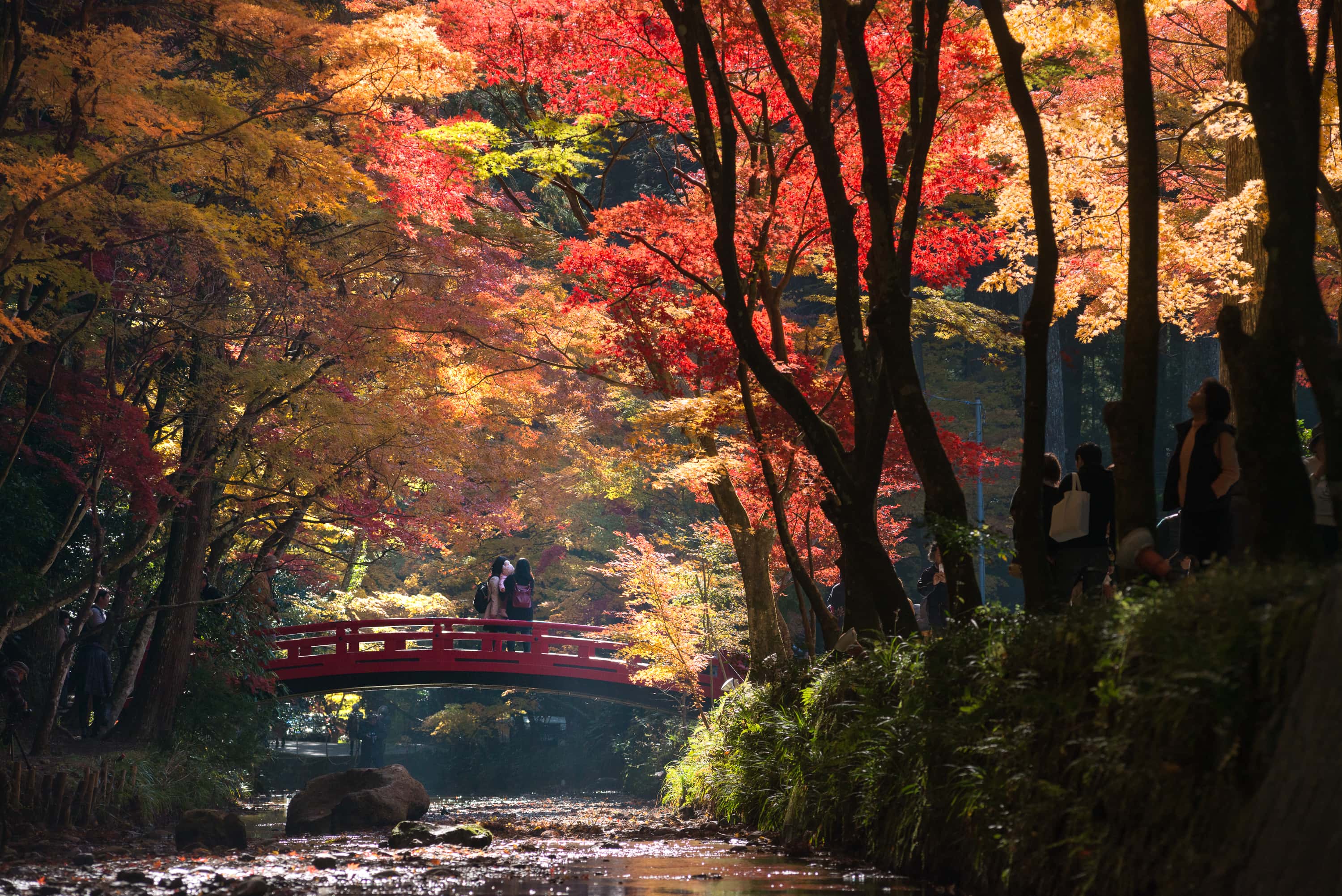 遠江國一宮　小國神社の画像3