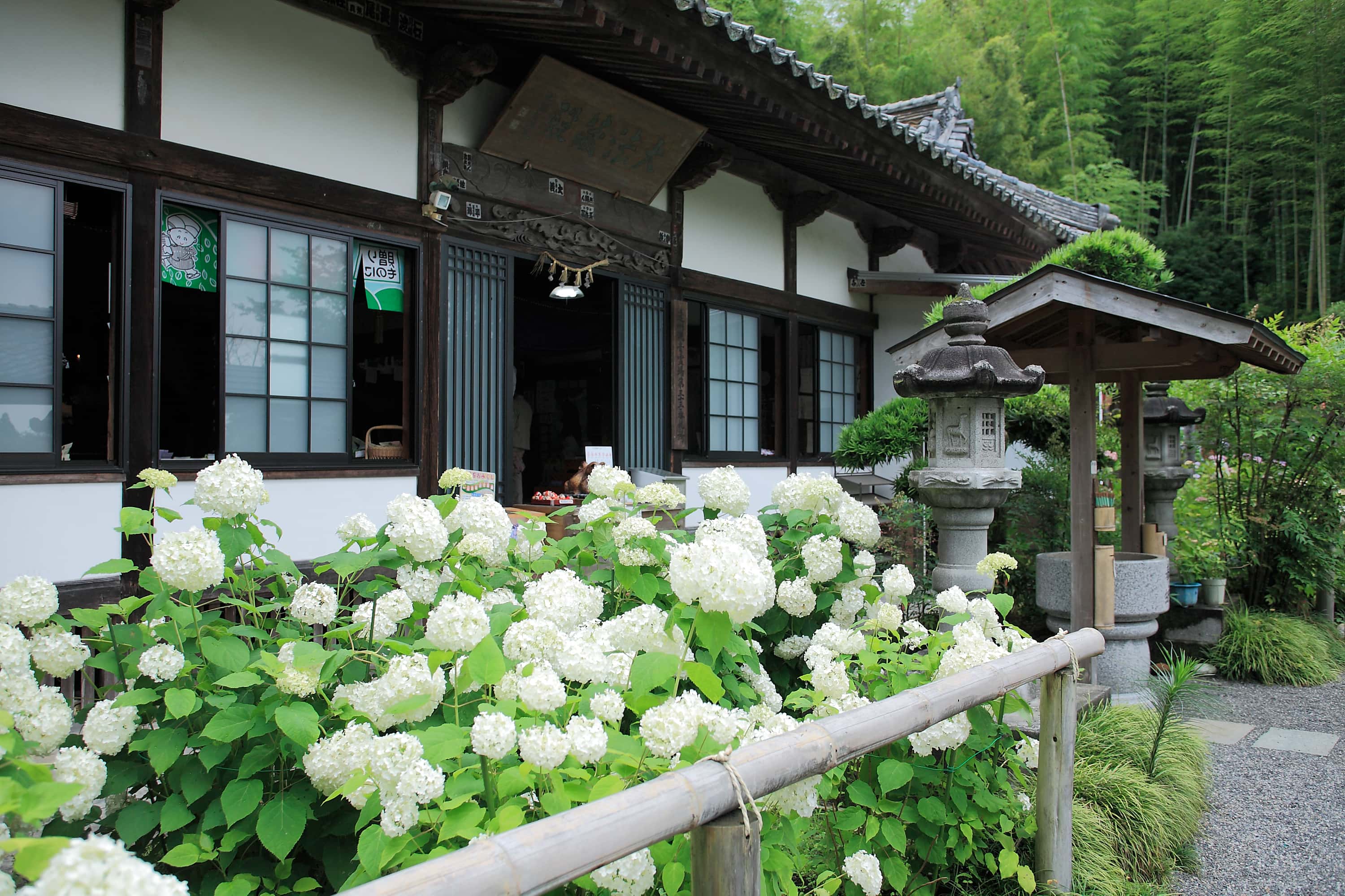 極楽寺　あじさい寺の画像4