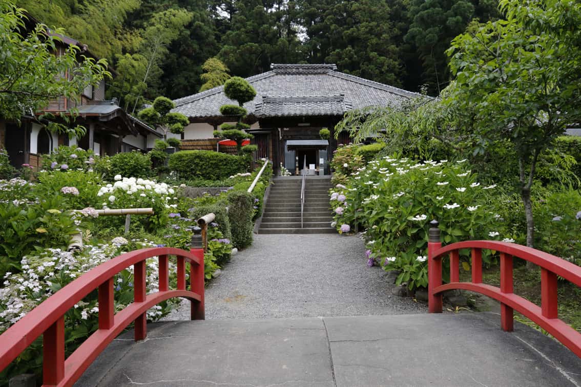 極楽寺　あじさい寺の画像1