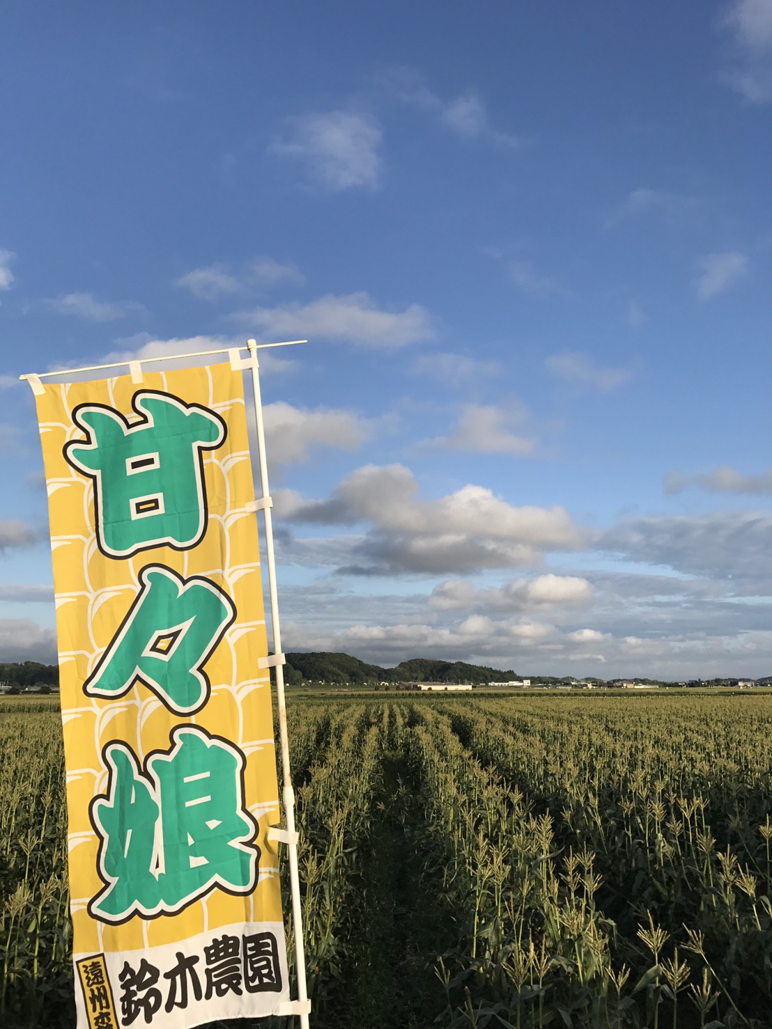 遠州森鈴木農園（株）の画像2