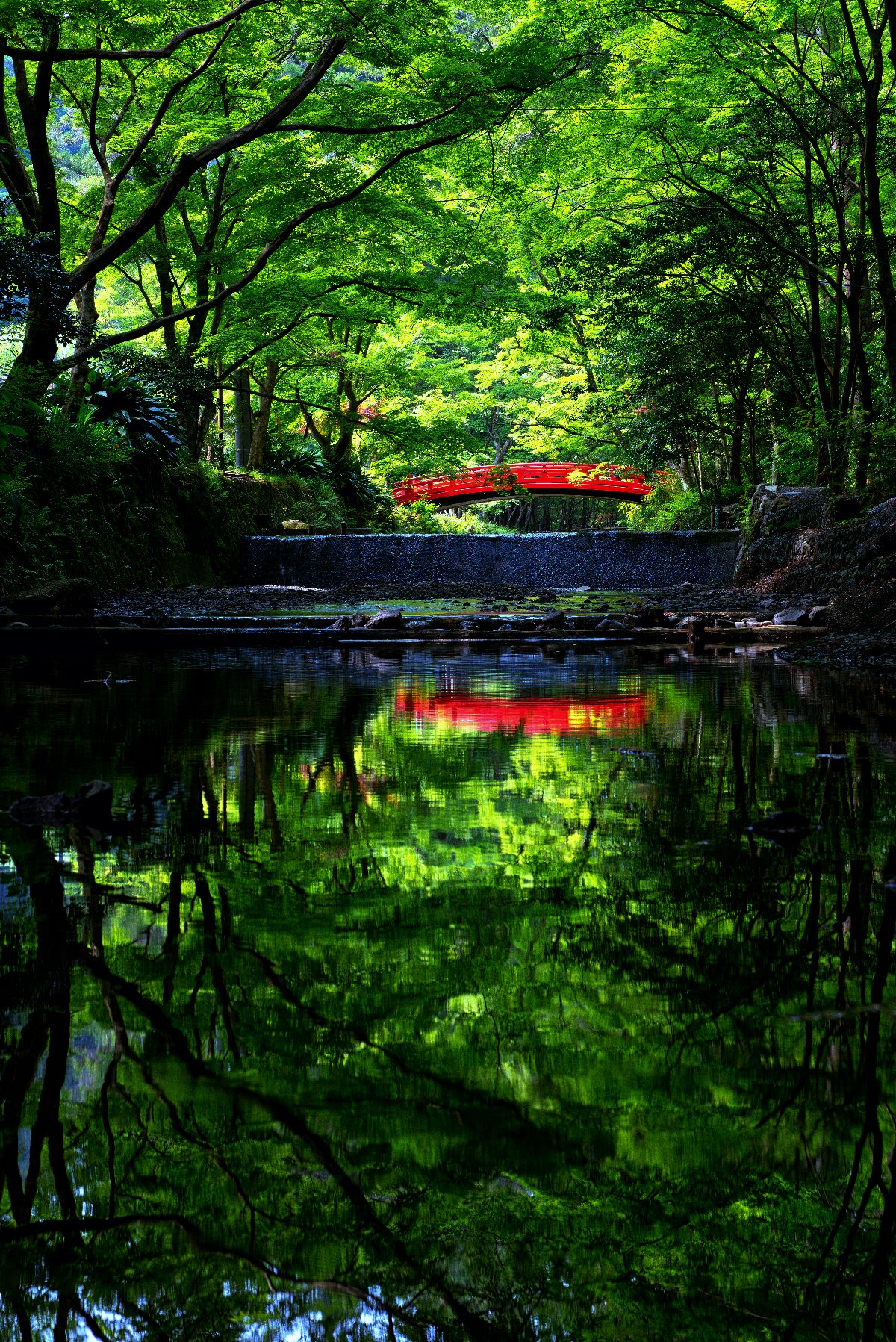 遠江國一宮　小國神社の画像2