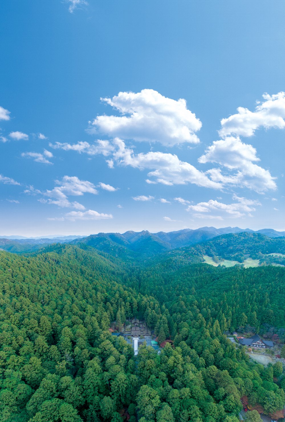 遠江國一宮　小國神社の画像7