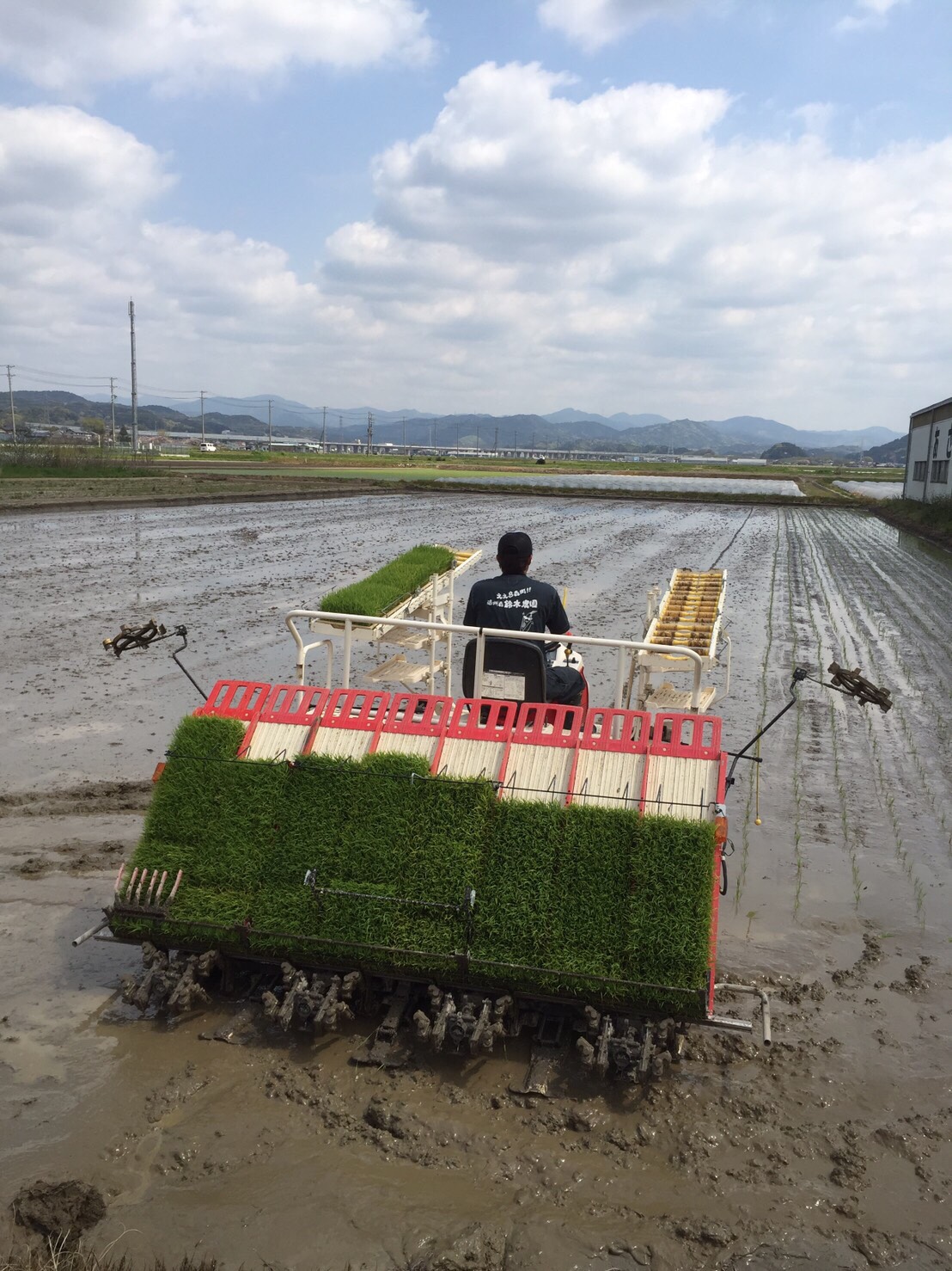 遠州森鈴木農園（株）の画像4