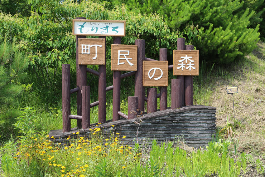 町民の森の画像1