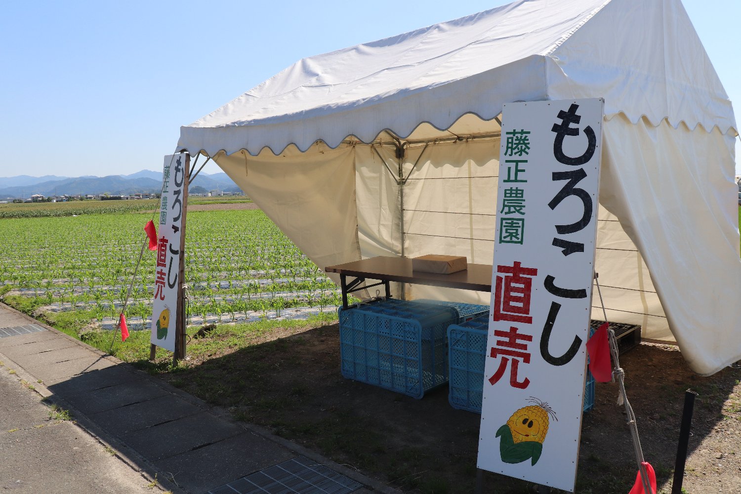 藤正農園 / お土産,買い物・特産品 / 静岡県森町 観光協会 遠州の小京都