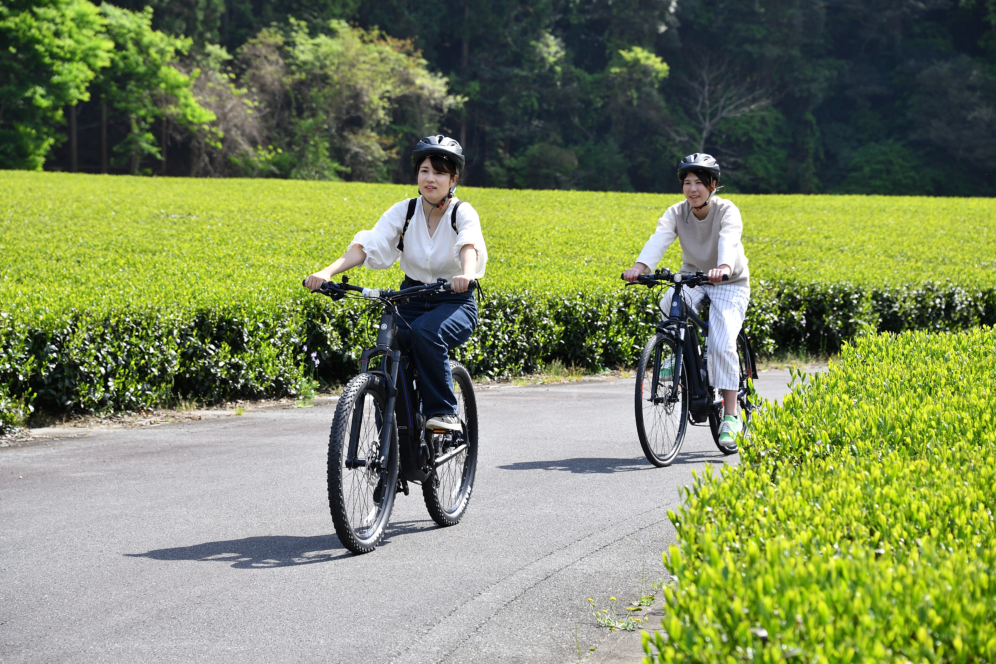 写真館|一覧 / 静岡県森町 観光協会 遠州の小京都