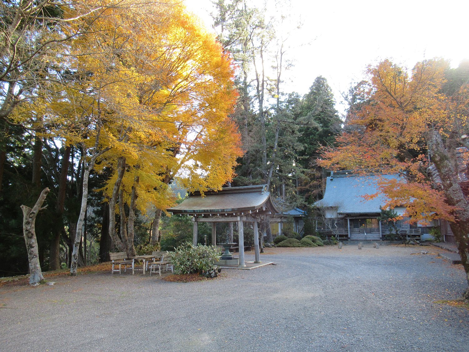 大日山金剛院の画像2