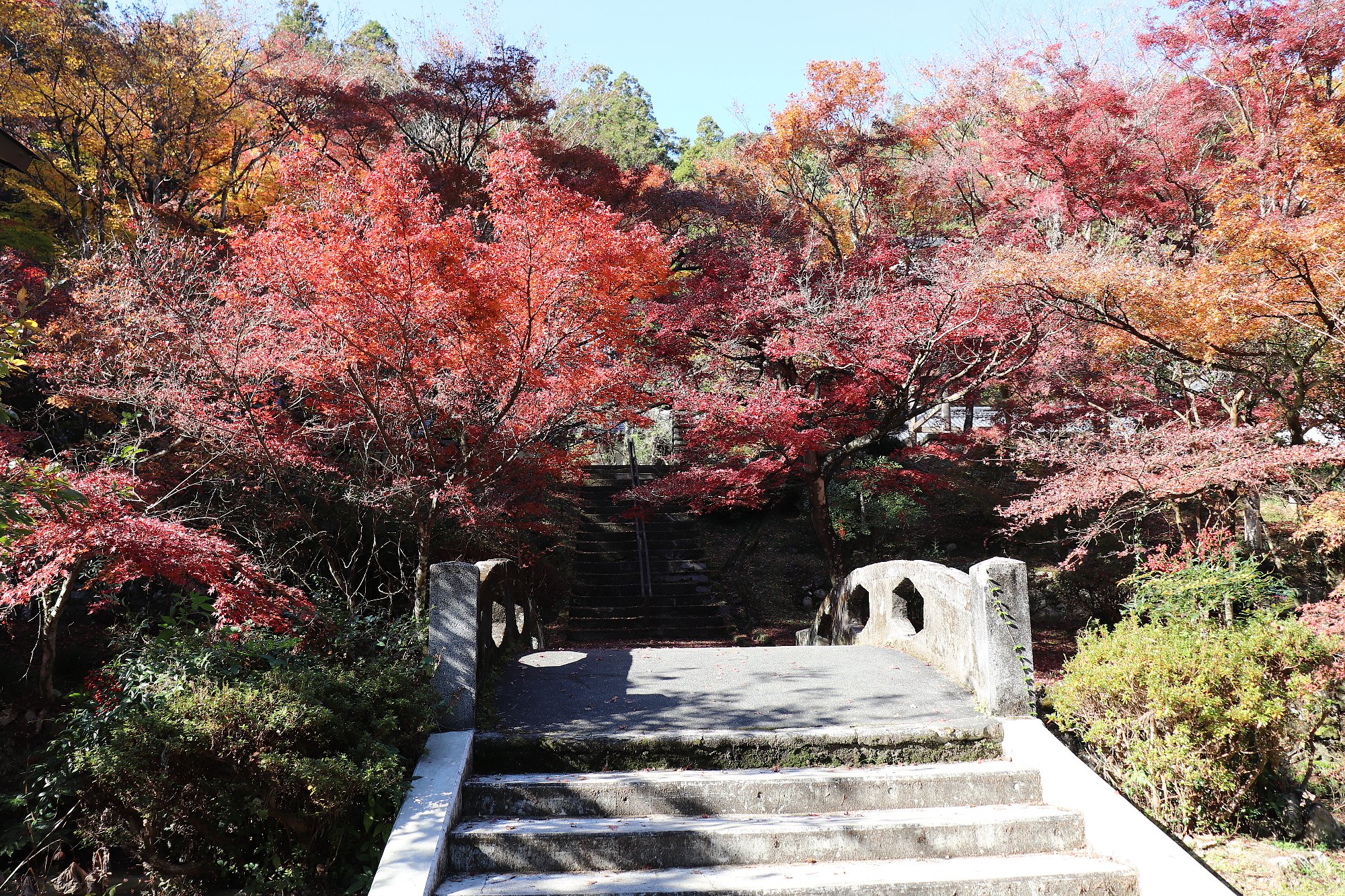 橘谷山　大洞院の画像5