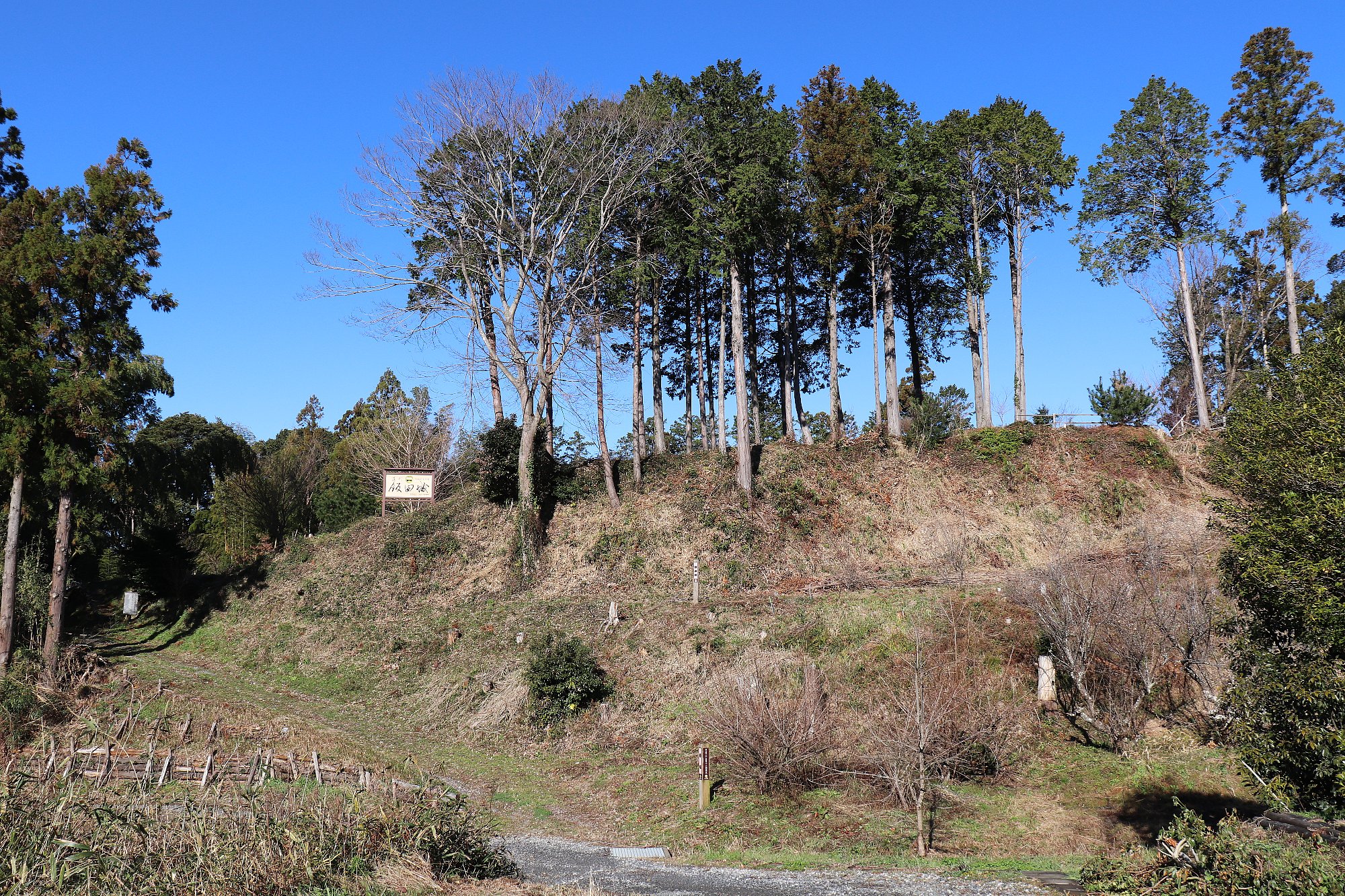 飯田城址の画像2