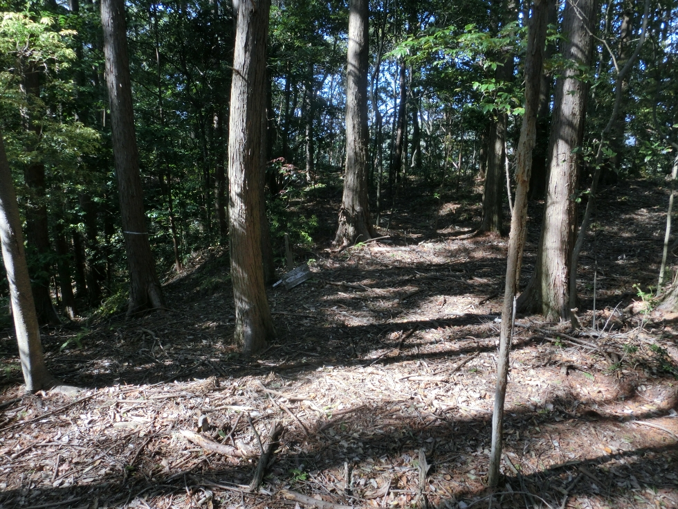 天方本城址の画像1