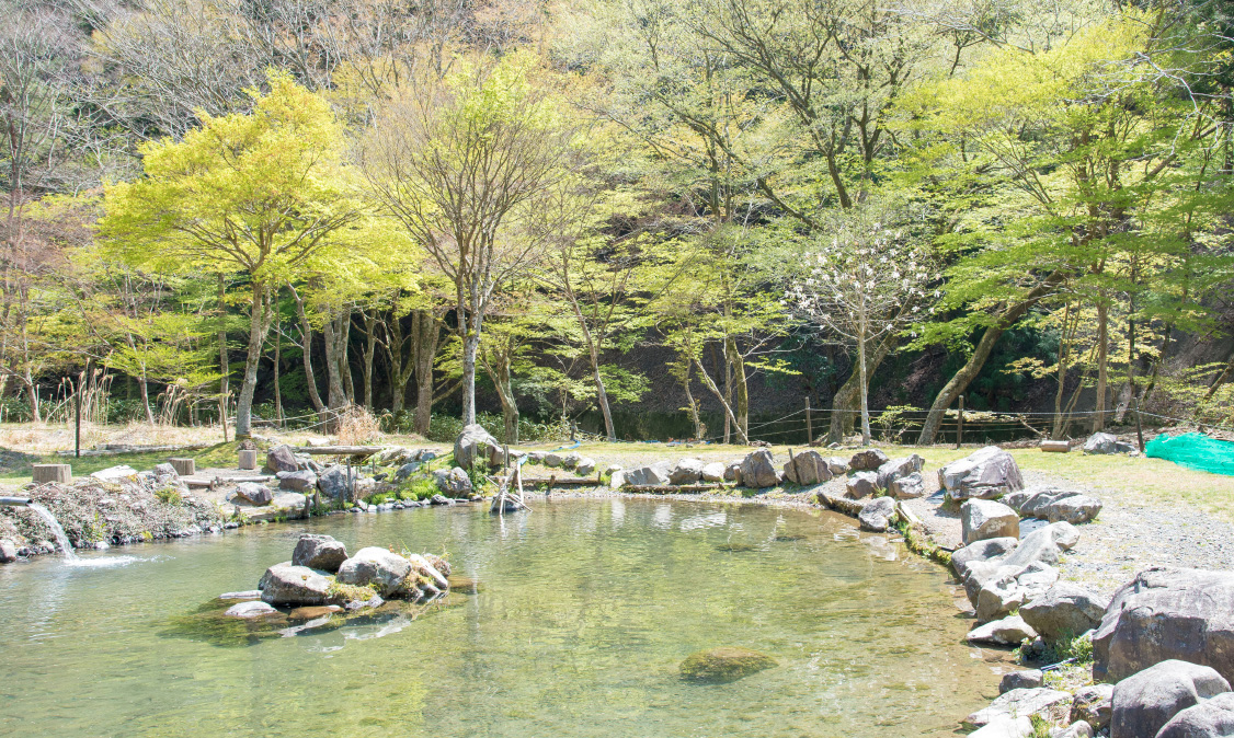 大河内清流　やまめの里の画像2