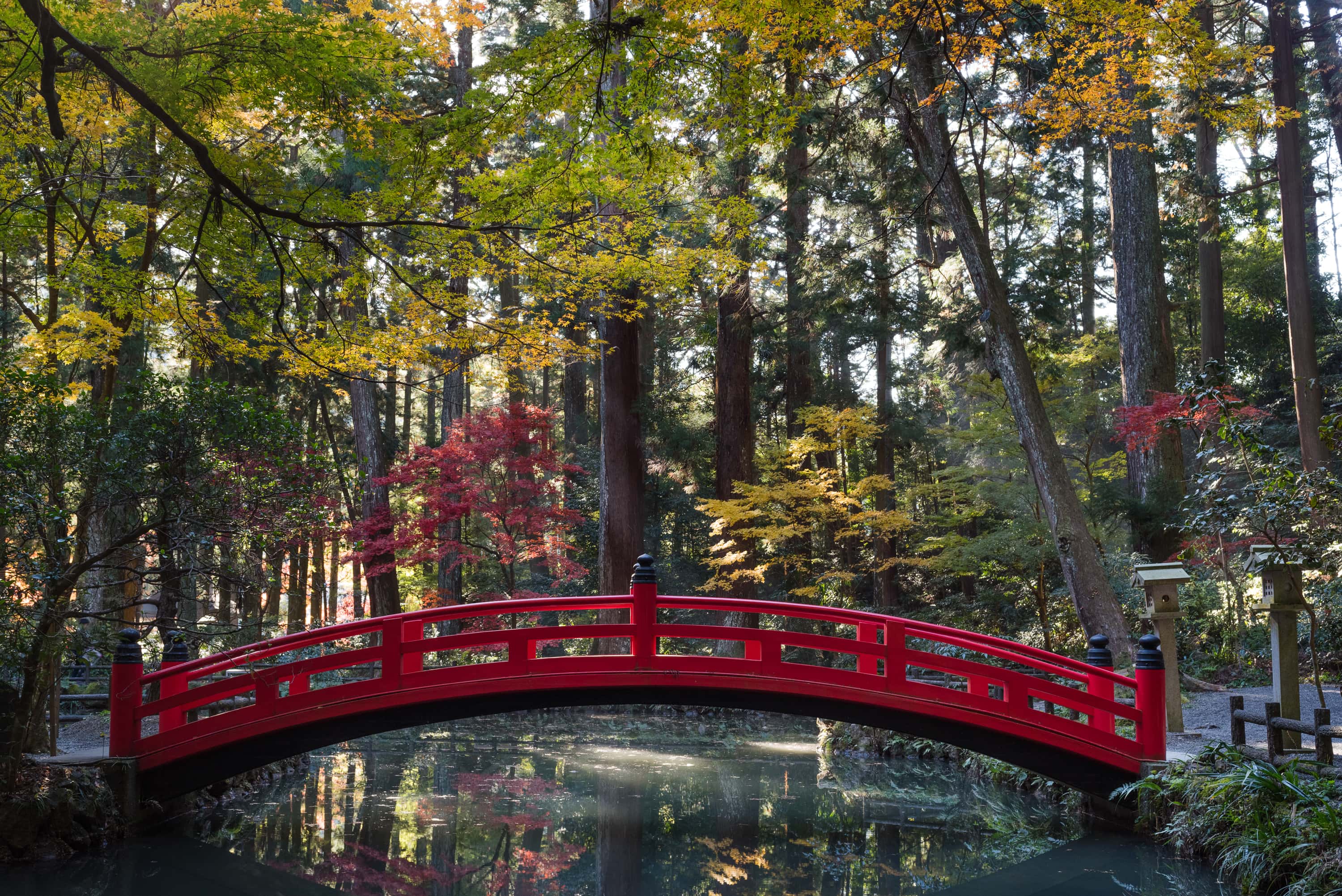 遠江國一宮　小國神社の画像4