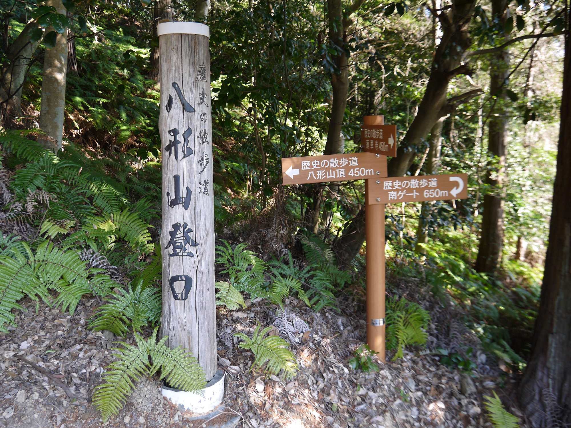 歴史の散歩道の画像2