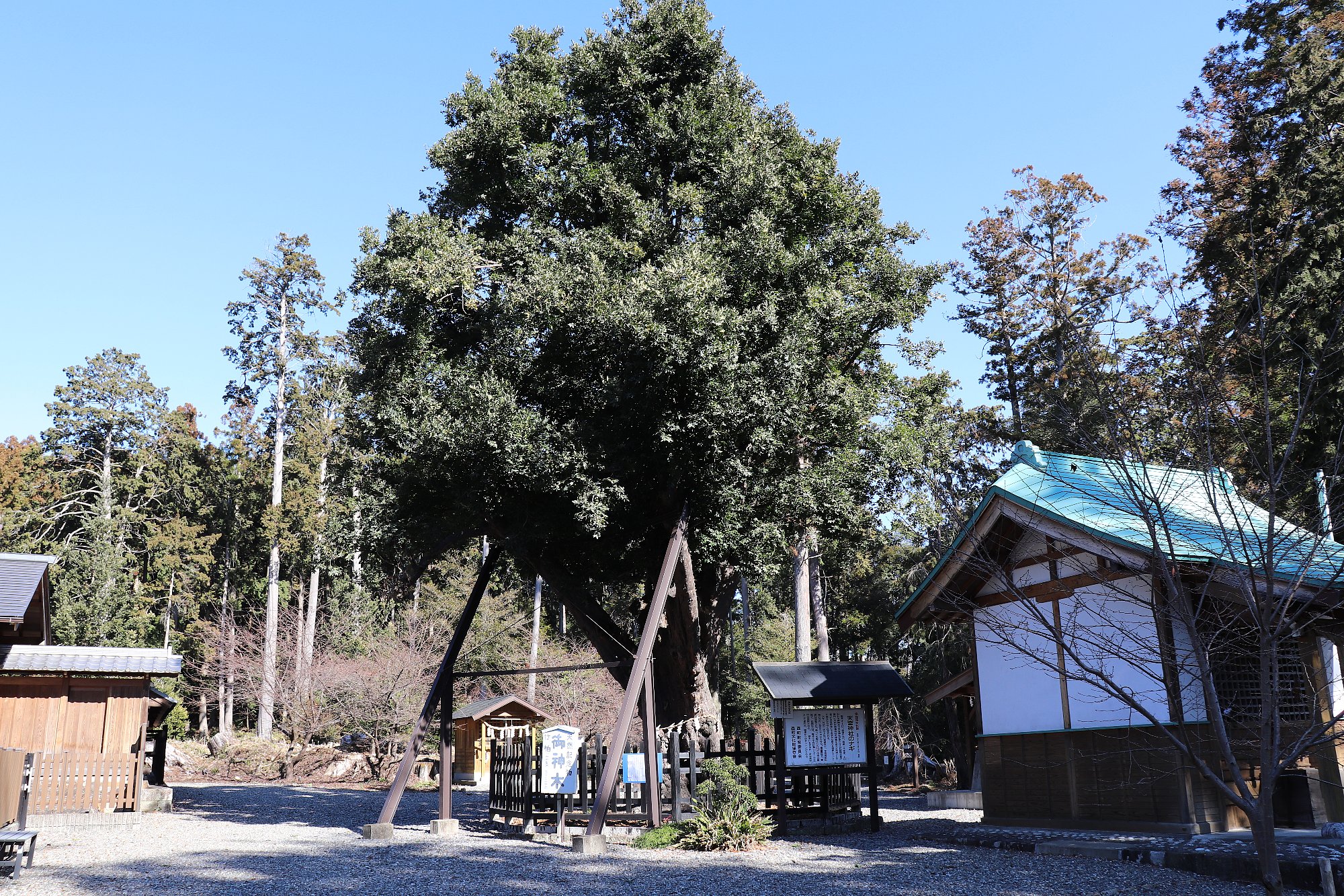 天宮神社の画像4