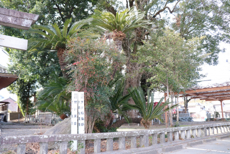 金守神社のサブ画像6