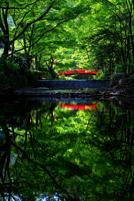 遠江國一宮　小國神社のサブ画像2