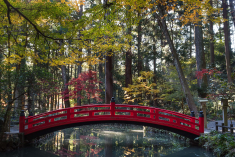 遠江國一宮　小國神社のサブ画像4