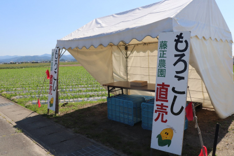 藤正農園のサブ画像1