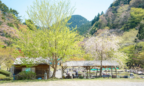 大河内清流　やまめの里のサブ画像3