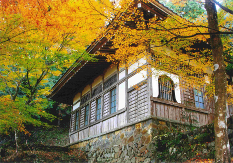 大洞院紅葉【12/6色あせはじめ】